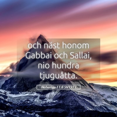 Picture 05 - Nehemja 11:8 SV1917 - och näst honom Gabbai och Sallai, nio hundra - Bible Verse Picture