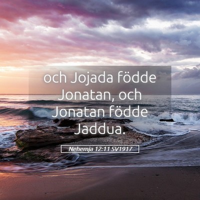 Picture 05 - Nehemja 12:11 SV1917 - och Jojada födde Jonatan, och Jonatan födde - Bible Verse Picture