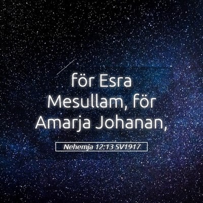 Picture 05 - Nehemja 12:13 SV1917 - för Esra Mesullam, för Amarja - Bible Verse Picture