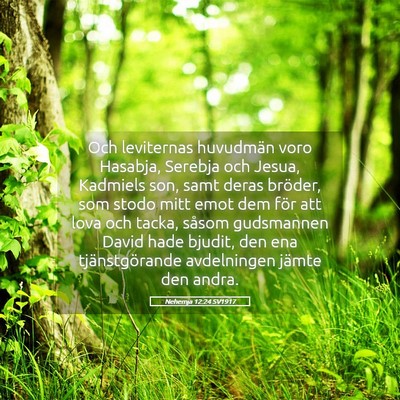 Picture 05 - Nehemja 12:24 SV1917 - Och leviternas huvudmän voro Hasabja, Serebja - Bible Verse Picture