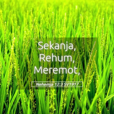 Picture 05 - Nehemja 12:3 SV1917 - Sekanja, Rehum, - Bible Verse Picture