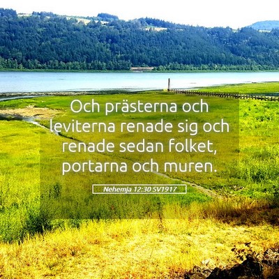 Picture 05 - Nehemja 12:30 SV1917 - Och prästerna och leviterna renade sig och - Bible Verse Picture