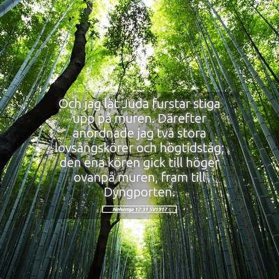 Picture 05 - Nehemja 12:31 SV1917 - Och jag lät Juda furstar stiga upp på muren. - Bible Verse Picture