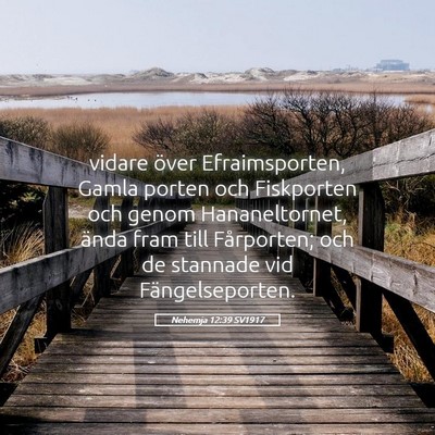 Picture 05 - Nehemja 12:39 SV1917 - vidare över Efraimsporten, Gamla porten och - Bible Verse Picture