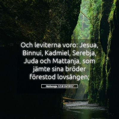 Picture 05 - Nehemja 12:8 SV1917 - Och leviterna voro: Jesua, Binnui, Kadmiel, - Bible Verse Picture