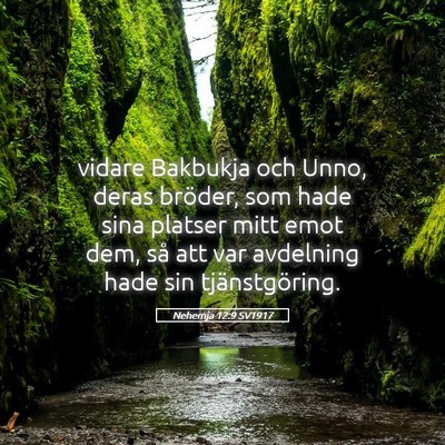Picture 05 - Nehemja 12:9 SV1917 - vidare Bakbukja och Unno, deras bröder, som hade - Bible Verse Picture