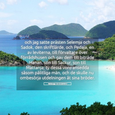 Picture 05 - Nehemja 13:13 SV1917 - och jag satte prästen Selemja och Sadok, den - Bible Verse Picture