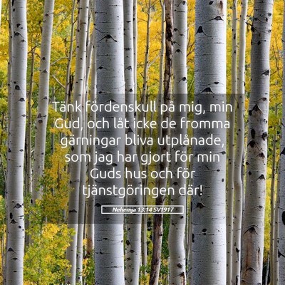Picture 05 - Nehemja 13:14 SV1917 - Tänk fördenskull på mig, min Gud, och låt - Bible Verse Picture
