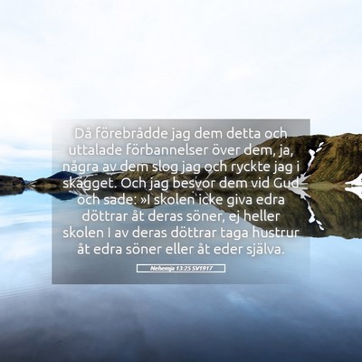 Picture 05 - Nehemja 13:25 SV1917 - Då förebrådde jag dem detta och uttalade - Bible Verse Picture