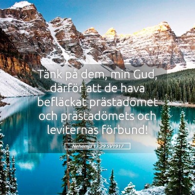Picture 05 - Nehemja 13:29 SV1917 - Tänk på dem, min Gud, därför att de hava - Bible Verse Picture