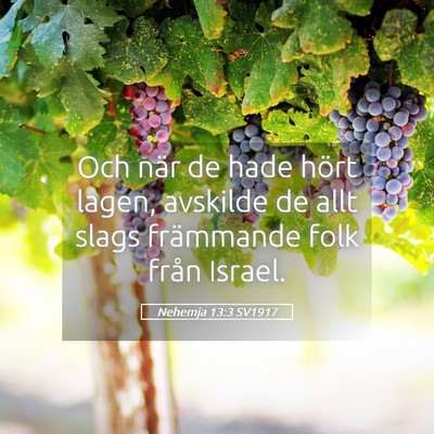 Picture 05 - Nehemja 13:3 SV1917 - Och när de hade hört lagen, avskilde de allt - Bible Verse Picture