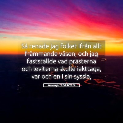 Picture 05 - Nehemja 13:30 SV1917 - Så renade jag folket ifrån allt främmande - Bible Verse Picture