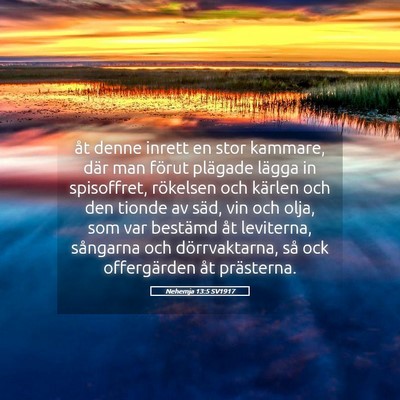Picture 05 - Nehemja 13:5 SV1917 - åt denne inrett en stor kammare, där man förut - Bible Verse Picture