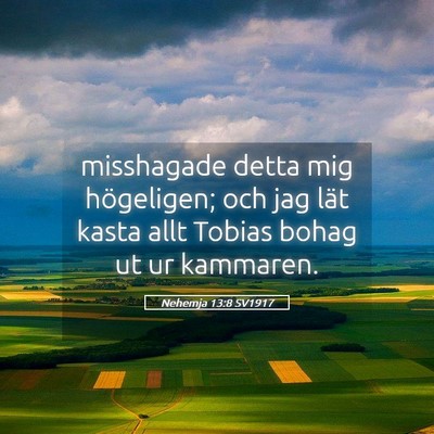 Picture 05 - Nehemja 13:8 SV1917 - misshagade detta mig högeligen; och jag lät - Bible Verse Picture