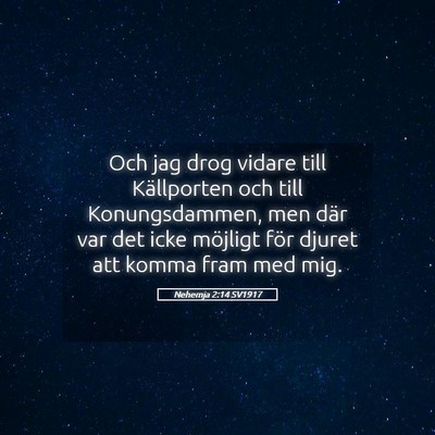 Picture 05 - Nehemja 2:14 SV1917 - Och jag drog vidare till Källporten och till - Bible Verse Picture