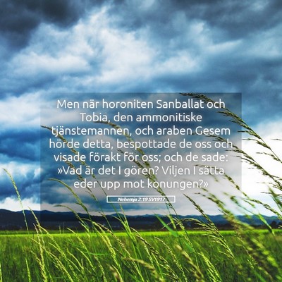 Picture 05 - Nehemja 2:19 SV1917 - Men när horoniten Sanballat och Tobia, den - Bible Verse Picture