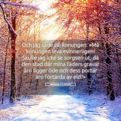 Picture 05 - Nehemja 2:3 SV1917 - Och jag sade till konungen: »Må konungen leva - Bible Verse Picture