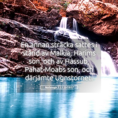 Picture 05 - Nehemja 3:11 SV1917 - En annan sträcka sattes i stånd av Malkia, - Bible Verse Picture