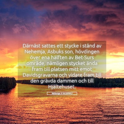 Picture 05 - Nehemja 3:16 SV1917 - Därnäst sattes ett stycke i stånd av Nehemja, - Bible Verse Picture