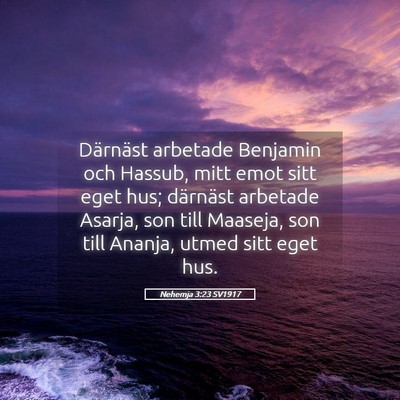 Picture 05 - Nehemja 3:23 SV1917 - Därnäst arbetade Benjamin och Hassub, mitt emot - Bible Verse Picture