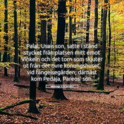 Picture 05 - Nehemja 3:25 SV1917 - Palal, Usais son, satte i stånd stycket från - Bible Verse Picture