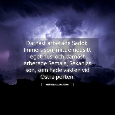 Picture 05 - Nehemja 3:29 SV1917 - Därnäst arbetade Sadok, Immers son, mitt emot - Bible Verse Picture