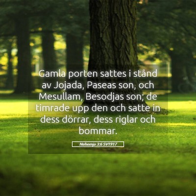 Picture 05 - Nehemja 3:6 SV1917 - Gamla porten sattes i stånd av Jojada, Paseas - Bible Verse Picture