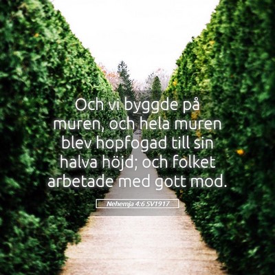 Picture 05 - Nehemja 4:6 SV1917 - Och vi byggde på muren, och hela muren blev - Bible Verse Picture