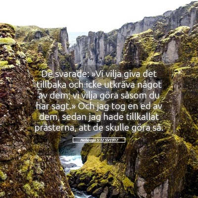 Picture 05 - Nehemja 5:12 SV1917 - De svarade: »Vi vilja giva det tillbaka och icke - Bible Verse Picture