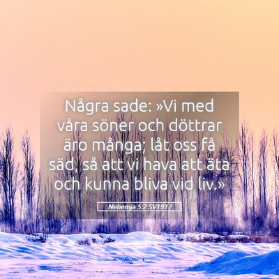 Picture 05 - Nehemja 5:2 SV1917 - Några sade: »Vi med våra söner och döttrar - Bible Verse Picture