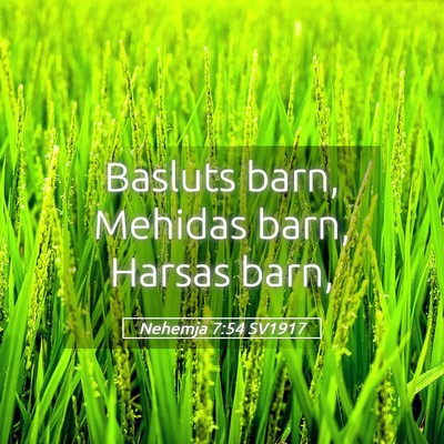 Picture 05 - Nehemja 7:54 SV1917 - Basluts barn, Mehidas barn, Harsas - Bible Verse Picture