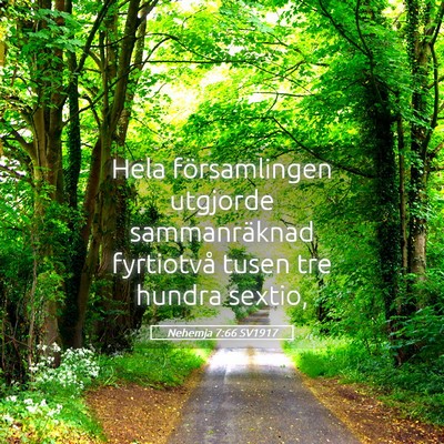 Picture 05 - Nehemja 7:66 SV1917 - Hela församlingen utgjorde sammanräknad - Bible Verse Picture