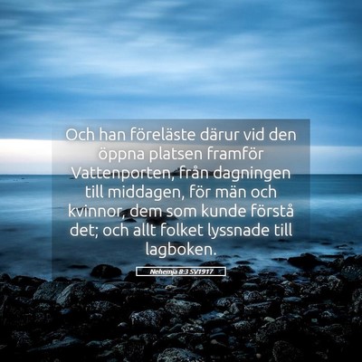Picture 05 - Nehemja 8:3 SV1917 - Och han föreläste därur vid den öppna platsen - Bible Verse Picture