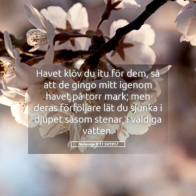 Picture 05 - Nehemja 9:11 SV1917 - Havet klöv du itu för dem, så att de gingo - Bible Verse Picture