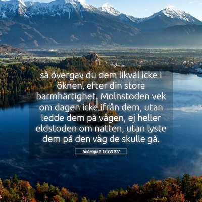 Picture 05 - Nehemja 9:19 SV1917 - så övergav du dem likväl icke i öknen, efter - Bible Verse Picture