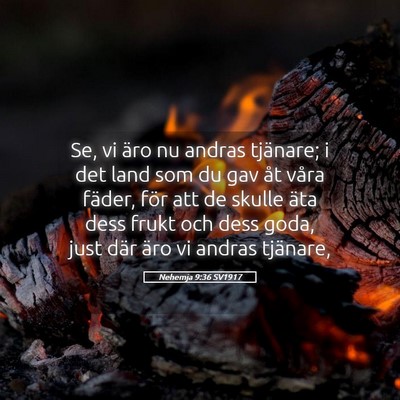 Picture 05 - Nehemja 9:36 SV1917 - Se, vi äro nu andras tjänare; i det land som du - Bible Verse Picture