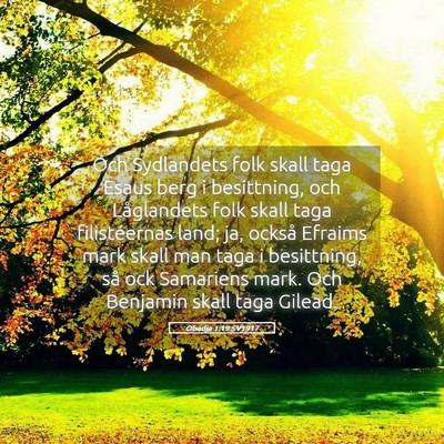 Picture 05 - Obadja 1:19 SV1917 - Och Sydlandets folk skall taga Esaus berg i - Bible Verse Picture
