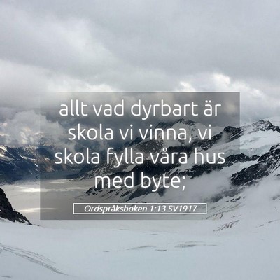 Picture 05 - Ordspråksboken 1:13 SV1917 - allt vad dyrbart är skola vi vinna, vi skola - Bible Verse Picture