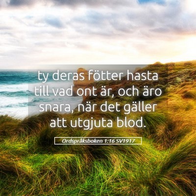Picture 05 - Ordspråksboken 1:16 SV1917 - ty deras fötter hasta till vad ont är, och äro - Bible Verse Picture