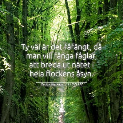 Picture 05 - Ordspråksboken 1:17 SV1917 - Ty väl är det fåfängt, då man vill fånga - Bible Verse Picture
