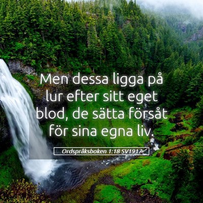 Picture 05 - Ordspråksboken 1:18 SV1917 - Men dessa ligga på lur efter sitt eget blod, de - Bible Verse Picture