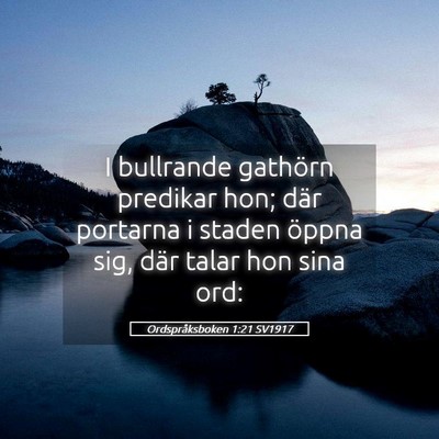 Picture 05 - Ordspråksboken 1:21 SV1917 - I bullrande gathörn predikar hon; där portarna - Bible Verse Picture
