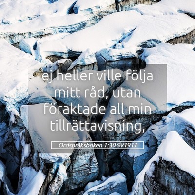 Picture 05 - Ordspråksboken 1:30 SV1917 - ej heller ville följa mitt råd, utan föraktade - Bible Verse Picture