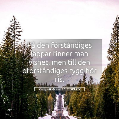 Picture 05 - Ordspråksboken 10:13 SV1917 - På den förståndiges läppar finner man vishet, - Bible Verse Picture