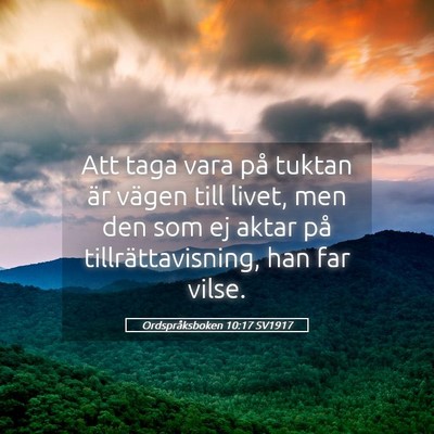 Picture 05 - Ordspråksboken 10:17 SV1917 - Att taga vara på tuktan är vägen till livet, - Bible Verse Picture