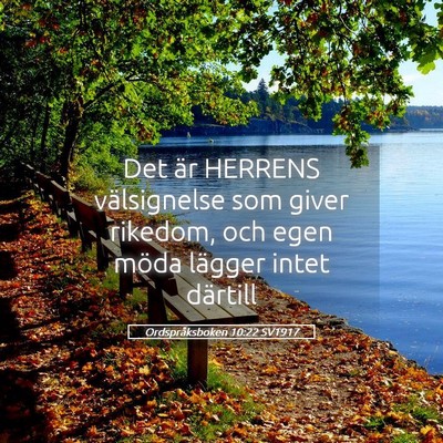 Picture 05 - Ordspråksboken 10:22 SV1917 - Det är HERRENS välsignelse som giver rikedom, - Bible Verse Picture