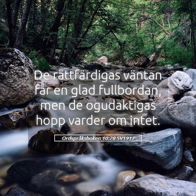 Picture 05 - Ordspråksboken 10:28 SV1917 - De rättfärdigas väntan får en glad - Bible Verse Picture