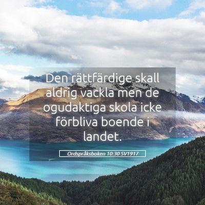 Picture 05 - Ordspråksboken 10:30 SV1917 - Den rättfärdige skall aldrig vackla men de - Bible Verse Picture