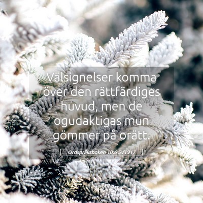 Picture 05 - Ordspråksboken 10:6 SV1917 - Välsignelser komma över den rättfärdiges - Bible Verse Picture