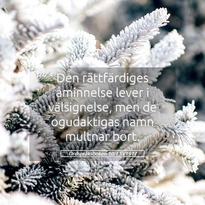 Picture 05 - Ordspråksboken 10:7 SV1917 - Den rättfärdiges åminnelse lever i - Bible Verse Picture